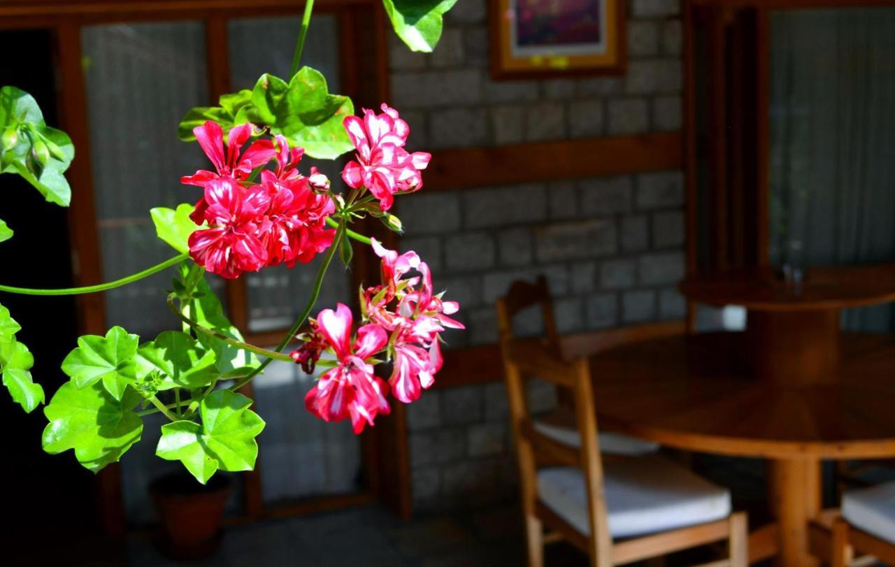 Holiday Home International -Vivaan Stays Manāli Zewnętrze zdjęcie